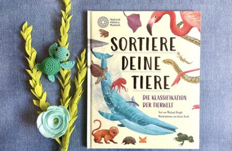 Kinderbuch Liebling Kinderbuchblog Lieblings Kinderb cher F r Alle 